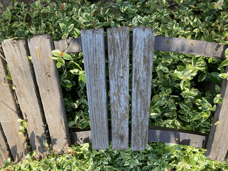 朽ち果てた木材サークルベンチ